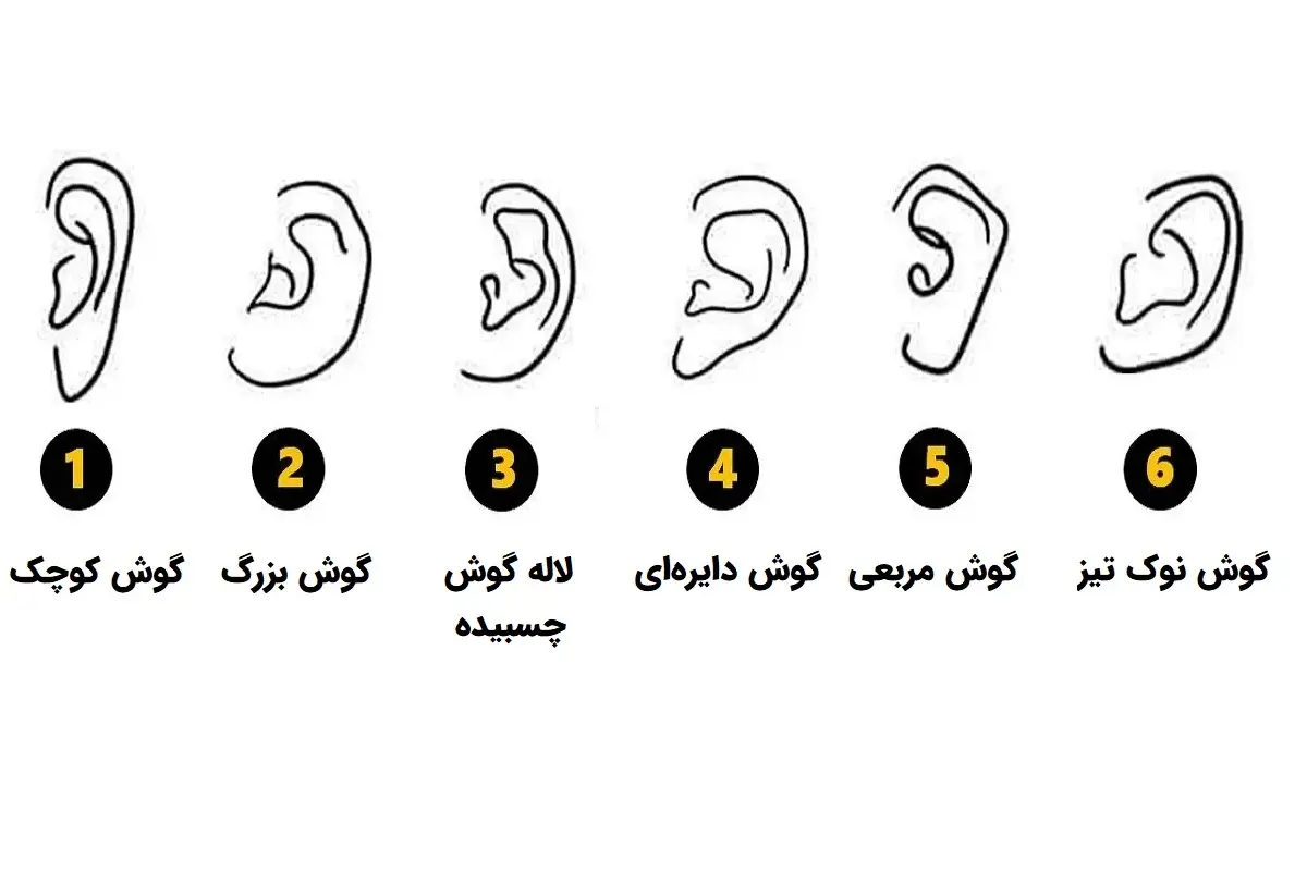 تست شخصیتشناسی | فرم گوش شما، نیمه پنهانتان را لو میدهد!