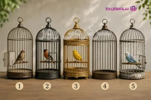 تست شخصیت شناسی | بگو کدوم قفس پرنده جذبت می‌کنه تا بگم کدوم ترست آزادی‌ات را محدود کرده