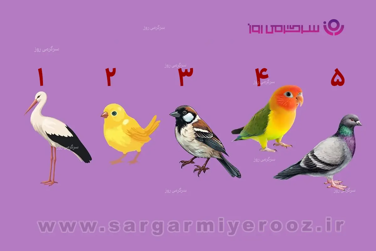 تست شخصیت شناسی | یکی از این پرندهها را انتخاب کنید؛ دیگران شما را اینطور میبینند