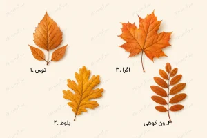 تست شخصیت شناسی | کدام برگ پاییزی بیشتر به دلتان مینشیند؟ انتخابتان یک ویژگی مهم شما را نشان میدهد
