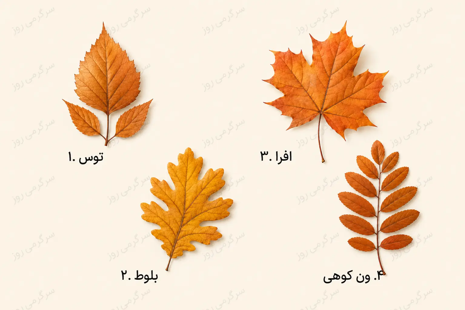 تست شخصیت شناسی | کدام برگ پاییزی بیشتر به دلتان مینشیند؟ انتخابتان یک ویژگی مهم شما را نشان میدهد