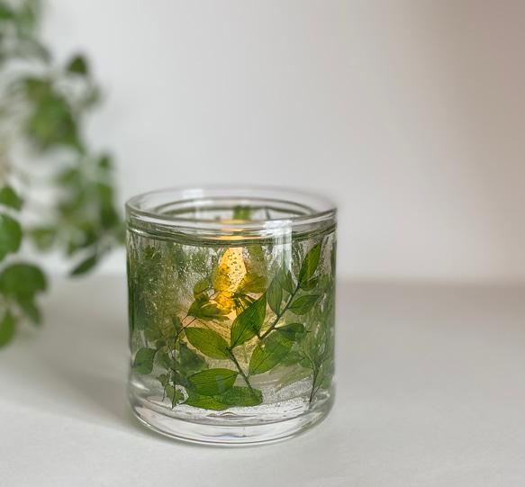 شمع ژله ای