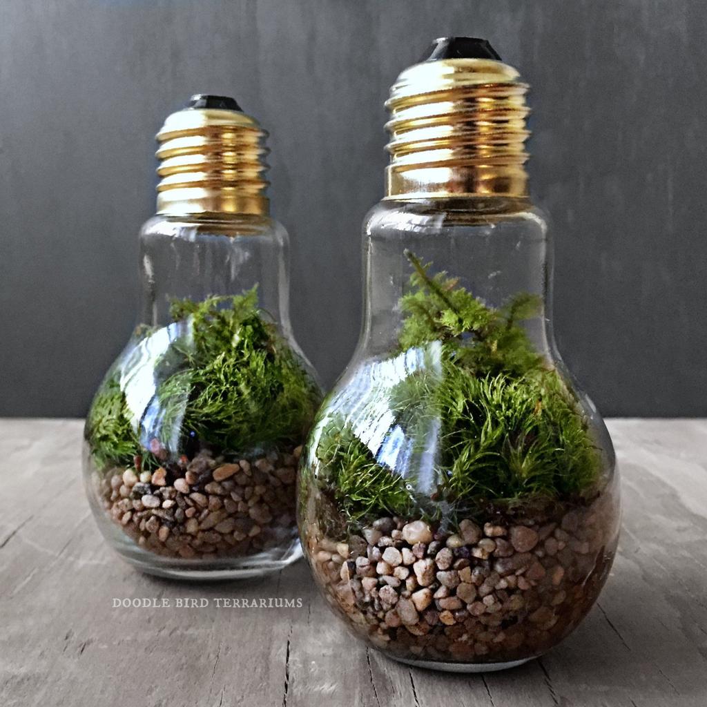 Pin en Preserved / Greenwall