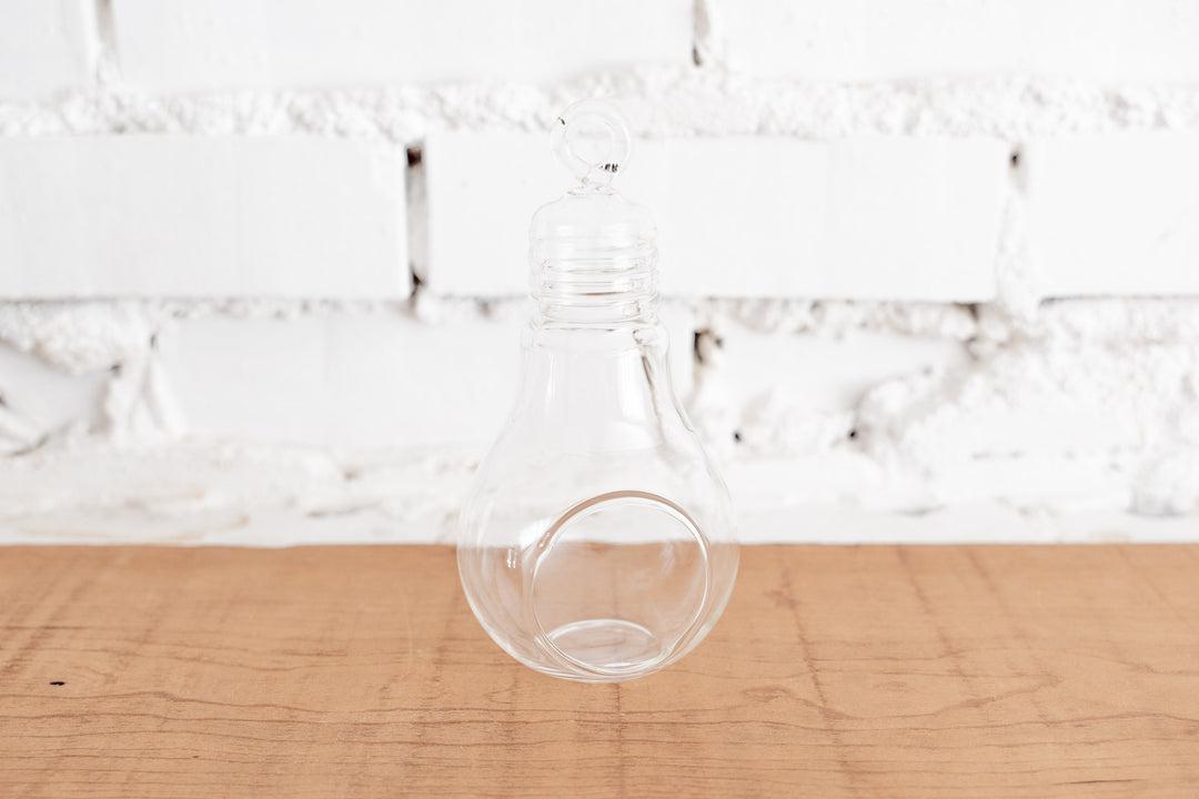 Air Plants Terrarium - Glass Hanging Light Bulb - Wholesale – Air Plant City