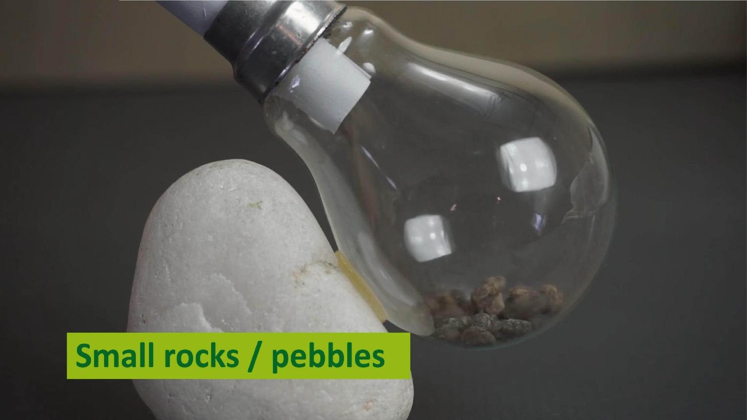 How to Make a Light Bulb Terrarium : 9 Steps (with Pictures) - Instructables