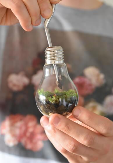 Lightbulb Terrarium Class London | Events | ClassBento