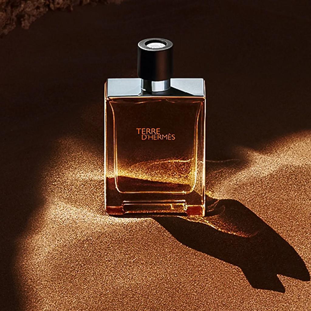 для НЕГО Hermes Terre D'Hermes EDP 75ml - BOOMTM.COM