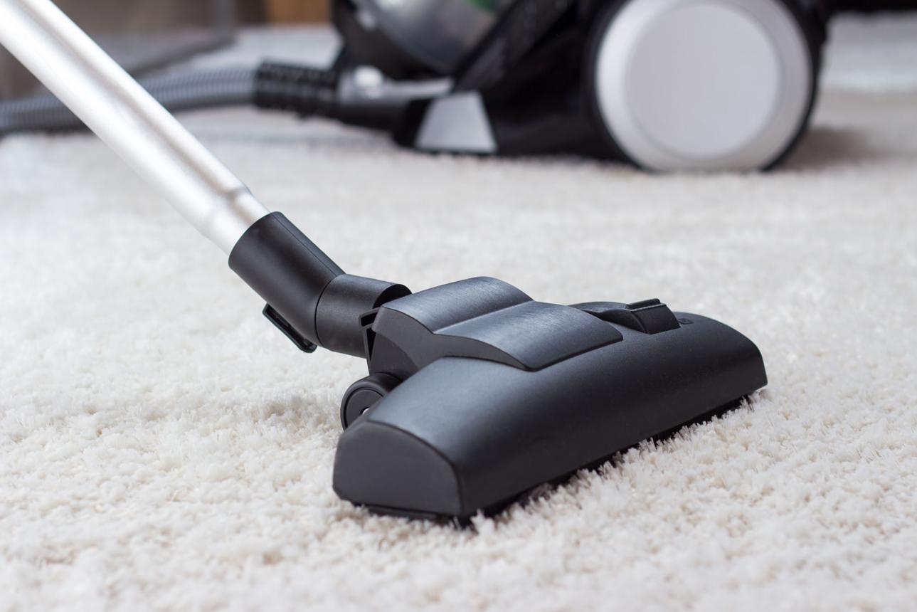 Long end of vacuum cleaner cleaning thick, white carpet