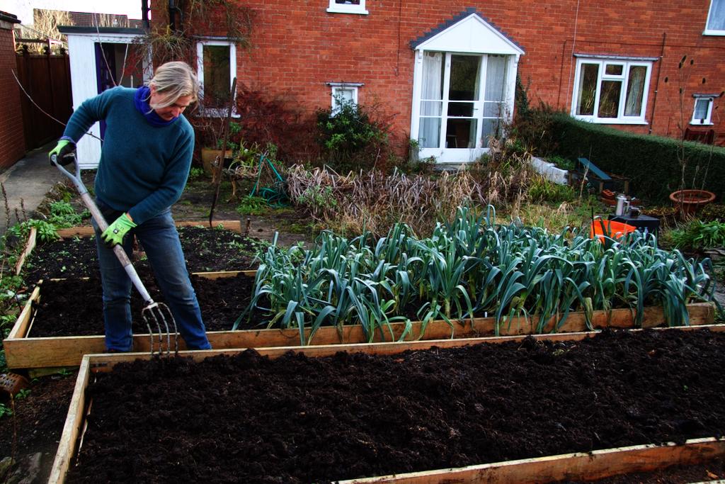 Grow food year round with no dig gardening - Stephanie Hafferty