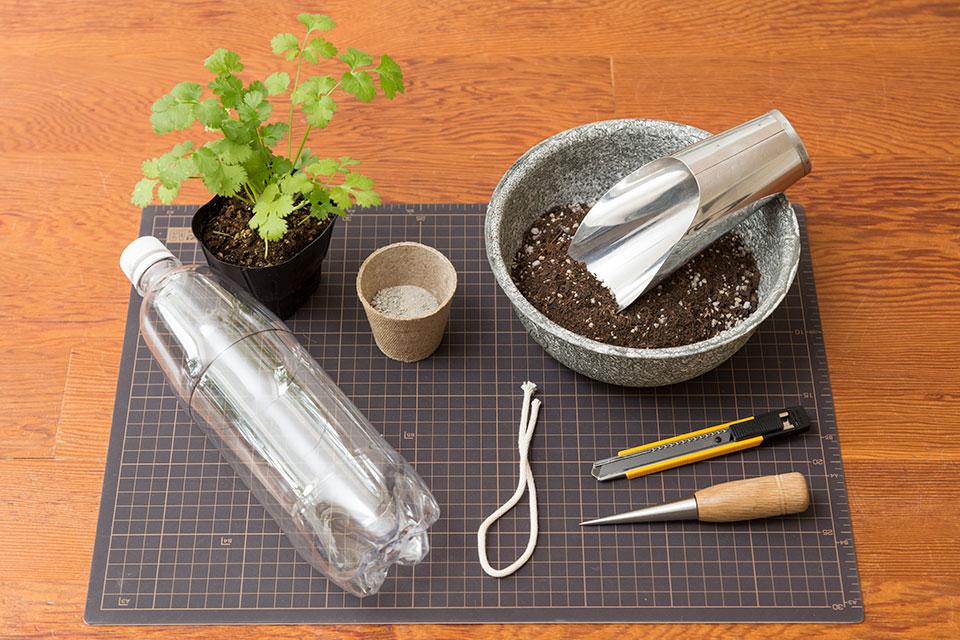 室内で簡単にハーブ栽培！育てたハーブの活用法も紹介｜楽しむ・学ぶ｜養命酒製造株式会社