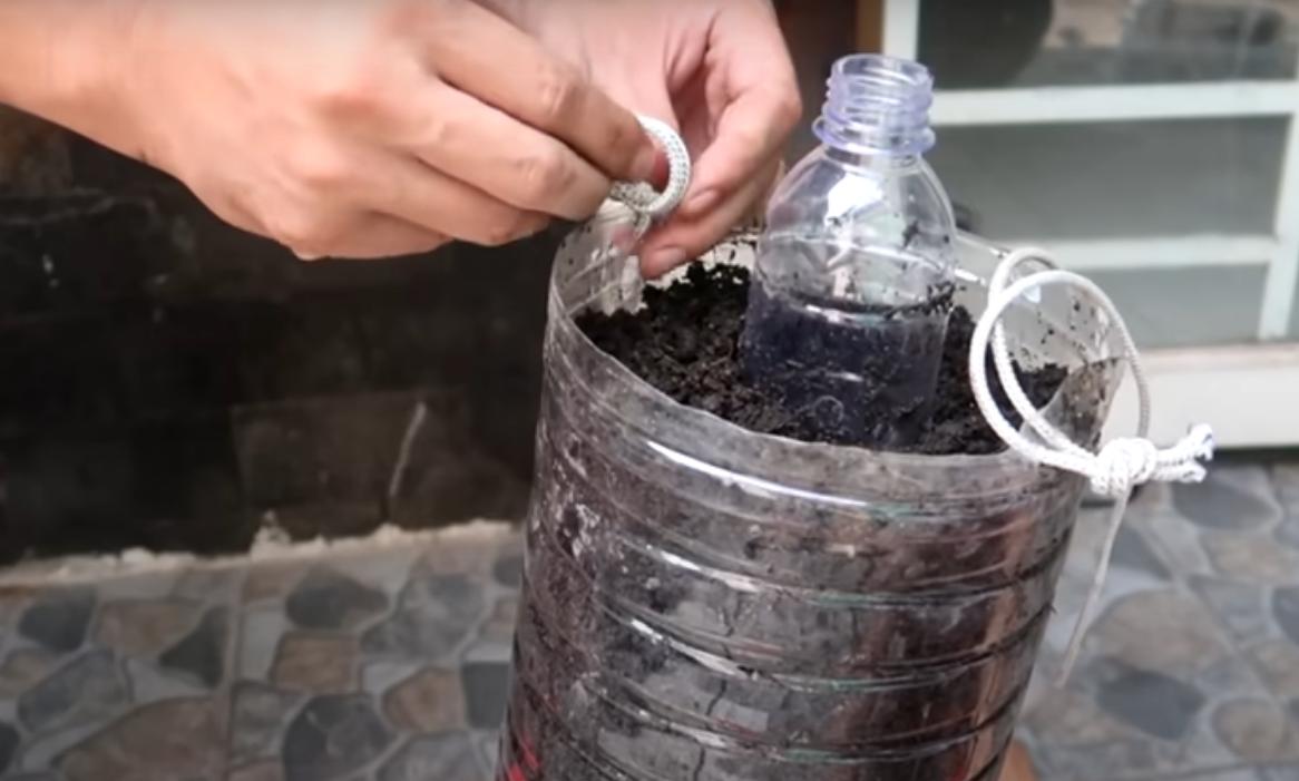 Como plantas tomates em casa — idealista/news
