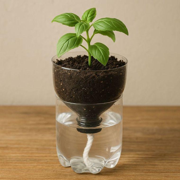 Cultiva verduras en botellas de gaseosa: un truco para tu huerta