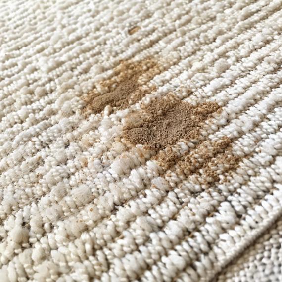 How To Clean a White Rug | Cleaning, Maintenance & Stain Removal Tips — RugsDirect Online