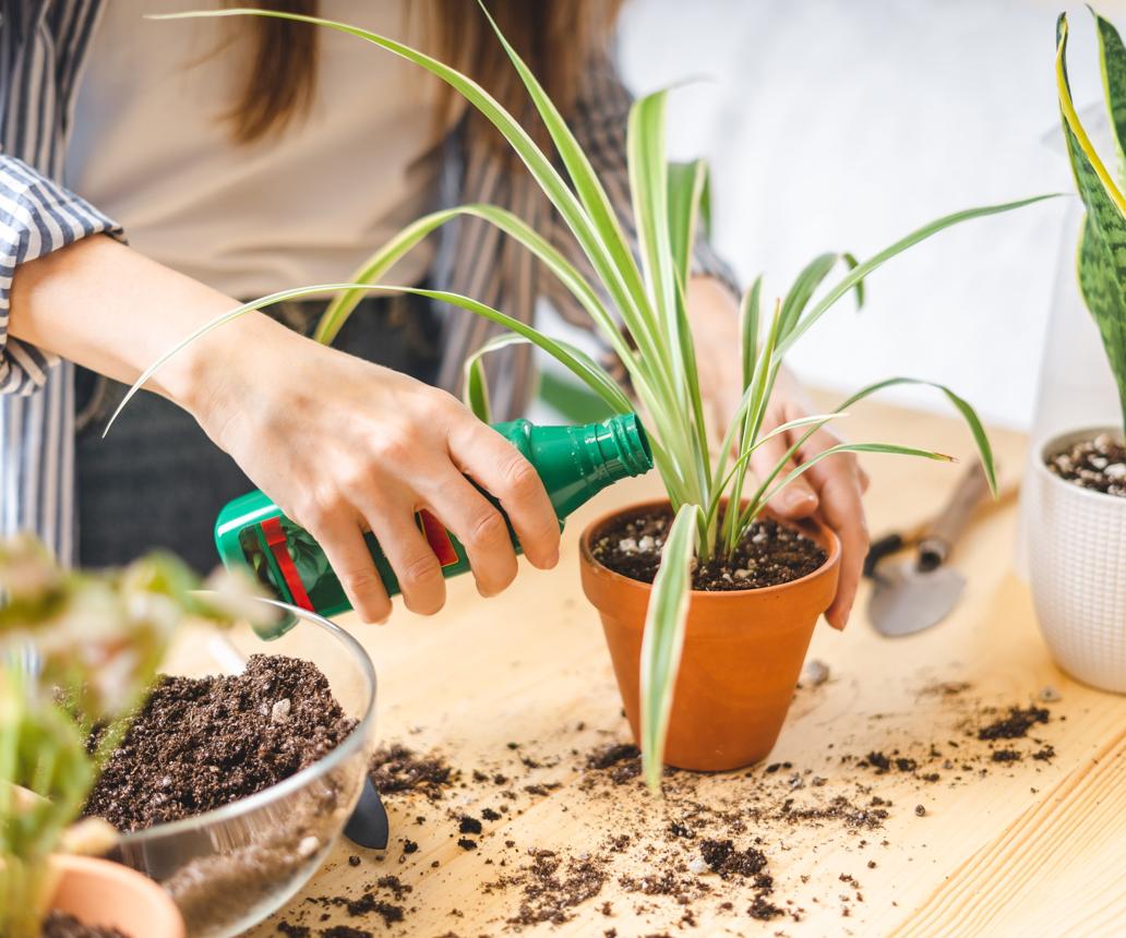 Plant fertilizer numbers: NPK ratios explained | Homes and Gardens