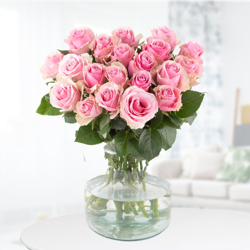 20 Pink Roses (40cm)