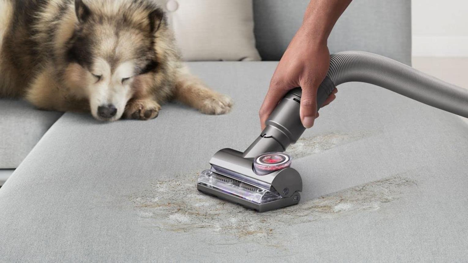 Dyson Ball Animal 3 Vacuum Review | Real Homes