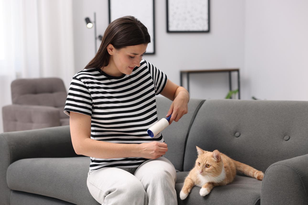Woman with lint roller removing pet's hair from clothes and her cat on sofa at home