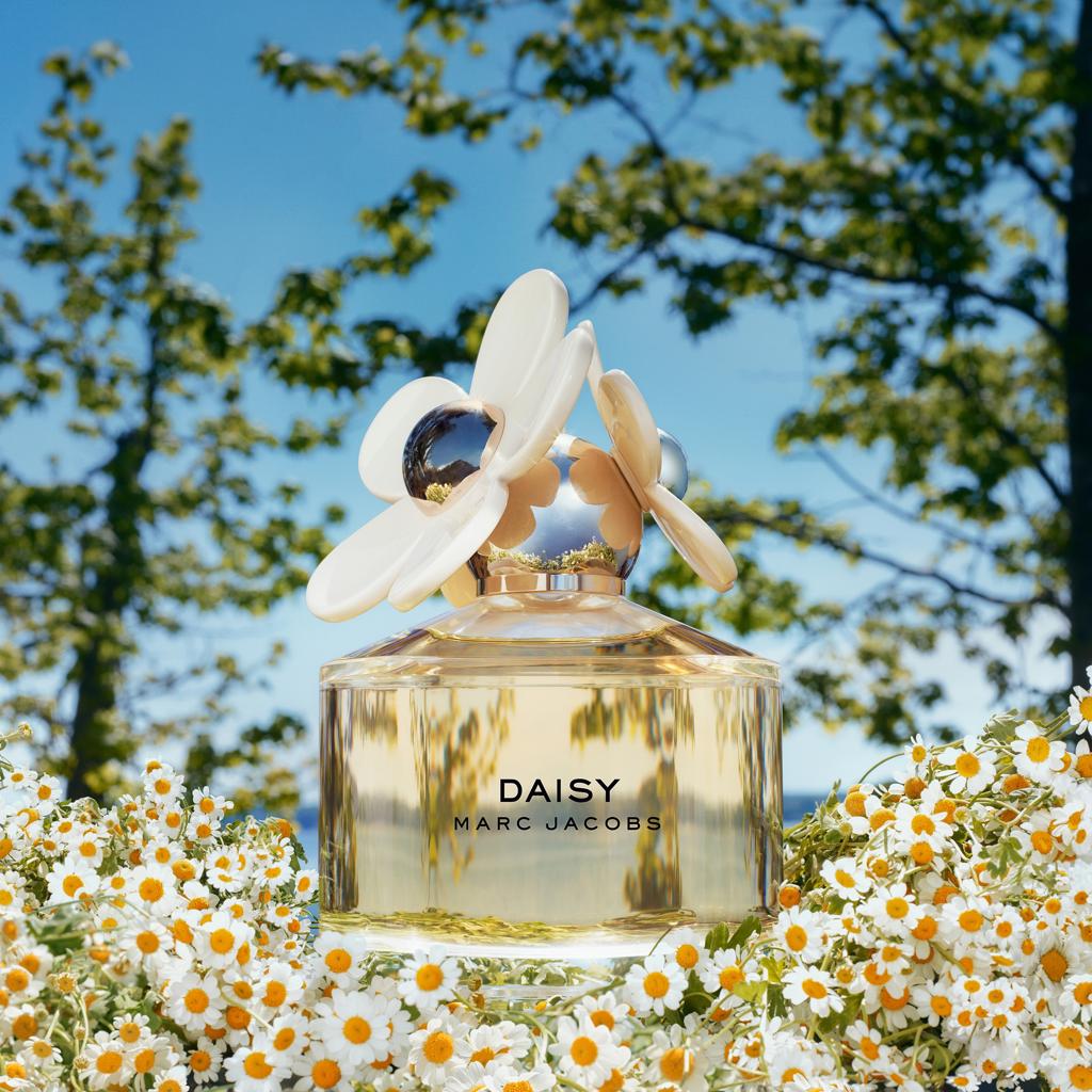 MARC JACOBS Daisy Eau de Toilette online bestellen | MÜLLER