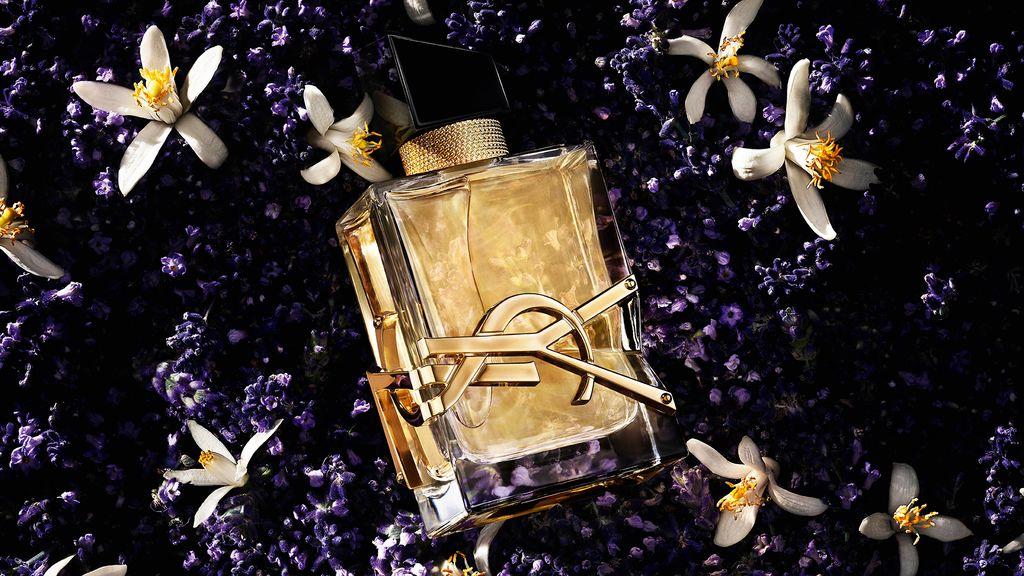 El perfume floral, sexy y recargable favorito de Dua Lipa