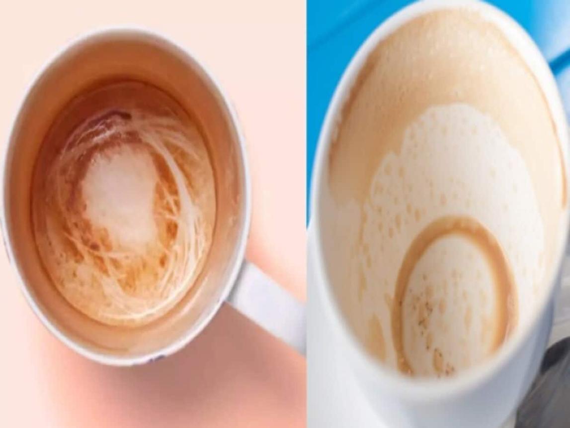 Kitchen Tips: सफेद कप से साफ नहीं हो रहे चाय और कॉफी के दाग, ये किचन टिप्स दूर करेंगे परेशानी useful kitchen hacks: know how to remove tea or coffee red stains from cup without much efforts, खाना - Hindustan