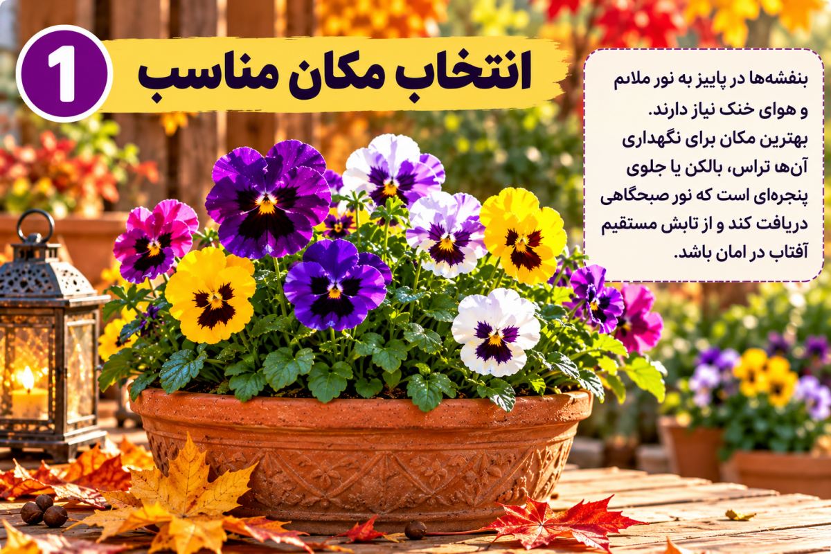 گل بنفشه