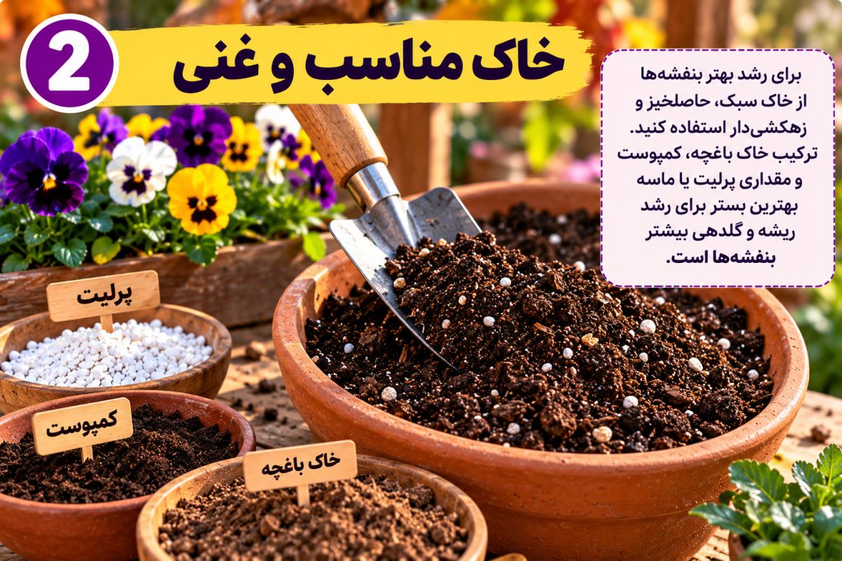 گل بنفشه