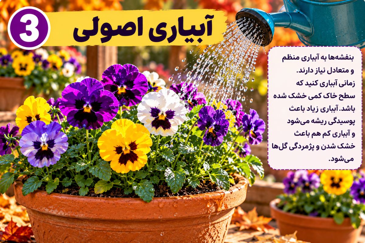 گل بنفشه