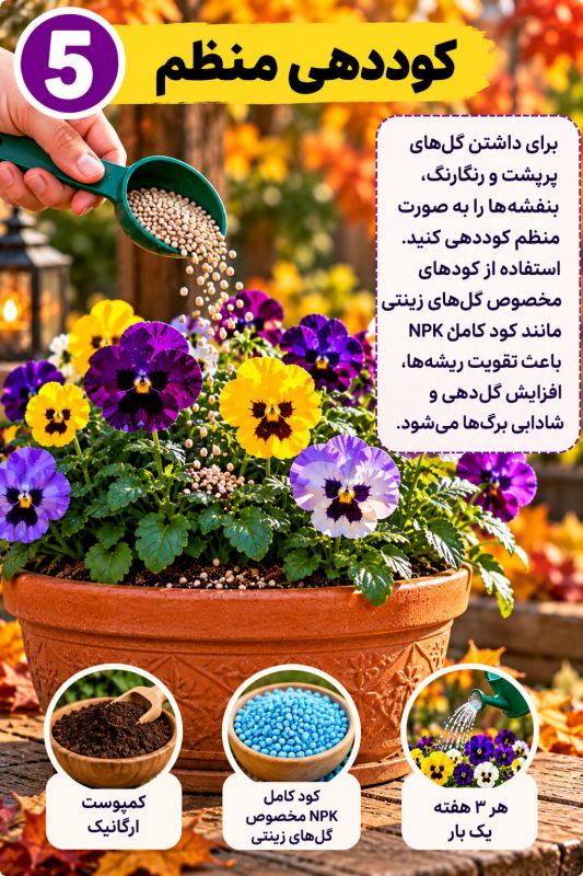 گل بنفشه