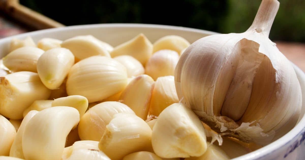 آیا سیر زرد شده قابل خوردن است